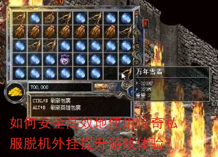 如何安全高效地使用传奇私服脱机外挂提升游戏体验? 如何安全高效地使用传奇私服脱机外挂提升游戏体验?