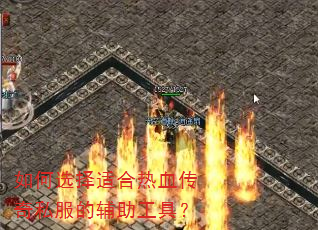 ���ѡ���ʺ���Ѫ����˽���ĸ������ߣ�