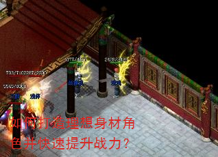 如何打造理想身材角色并快速提升战力? 如何打造理想身材角色并快速提升战力?