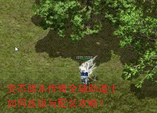 变态版本传奇全辅助道士如何练级与配装攻略? 变态版本传奇全辅助道士如何练级与配装攻略?