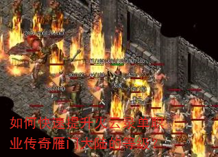��ο�����������¼��ְҵ�������Ŵ�½�ĵȼ���