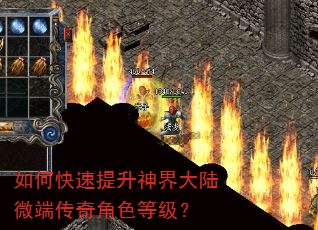 如何快速提升神界大陆微端传奇角色等级? 如何快速提升神界大陆微端传奇角色等级?