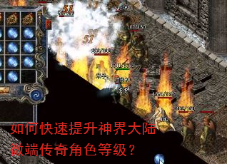 如何快速提升神界大陆微端传奇角色等级? 如何快速提升神界大陆微端传奇角色等级?