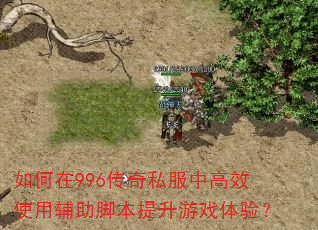 如何在996传奇私服中高效使用辅助脚本提升游戏体验? 如何在996传奇私服中高效使用辅助脚本提升游戏体验?