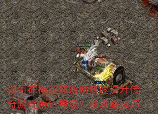 如何在梅花辅助网快速提升传奇游戏角色等级?求攻略技巧 如何在梅花辅助网快速提升传奇游戏角色等级?求攻略技巧