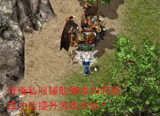 传奇私服辅助脚本如何选择才能提升游戏体验? 传奇私服辅助脚本如何选择才能提升游戏体验?