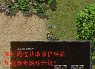 如何通过获取双倍经验加速传奇游戏升级? 如何通过获取双倍经验加速传奇游戏升级?
