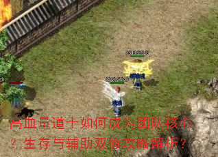 高血量道士如何成为团队核心?生存与辅助双修攻略解析? 高血量道士如何成为团队核心?生存与辅助双修攻略解析?