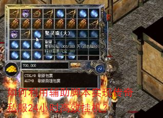 如何利用辅助脚本实现传奇私服24小时高效挂机? 如何利用辅助脚本实现传奇私服24小时高效挂机?