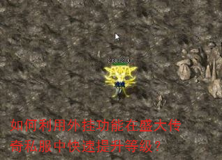 如何利用外挂功能在盛大传奇私服中快速提升等级? 如何利用外挂功能在盛大传奇私服中快速提升等级?