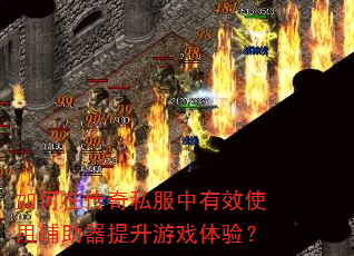 如何在传奇私服中有效使用辅助器提升游戏体验? 如何在传奇私服中有效使用辅助器提升游戏体验?