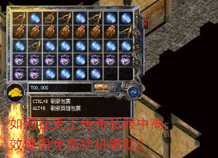 如何在天王传奇私服中高效使用免费挂机辅助? 如何在天王传奇私服中高效使用免费挂机辅助?