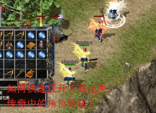 如何快速提升帝尊迷失传奇中的角色等级? 如何快速提升帝尊迷失传奇中的角色等级?