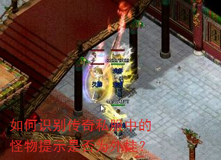 ���ʶ����˽���еĹ�����ʾ�Ƿ�Ϊ��ң�