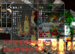 如何快速提升桃花岛65535级传奇角色战力? 如何快速提升桃花岛65535级传奇角色战力?