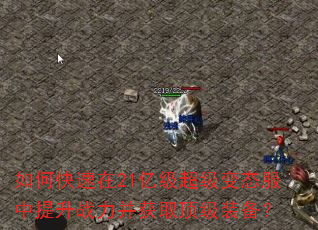 如何快速在21亿级超级变态服中提升战力并获取顶级装备? 如何快速在21亿级超级变态服中提升战力并获取顶级装备?