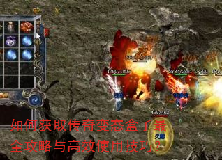 ��λ�ȡ�����̬������ȫ�������Чʹ�ü��ɣ�