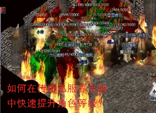 ����ڴ���˽�����Ϸ��п���������ɫ�ȼ���