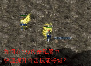 如何在195传奇私服中快速提升合击技能等级? 如何在195传奇私服中快速提升合击技能等级?