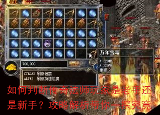 如何判断传奇法师玩家是老手还是新手?攻略解析带你一探究竟 如何判断传奇法师玩家是老手还是新手?攻略解析带你一探究竟
