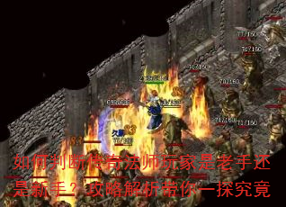 如何判断传奇法师玩家是老手还是新手?攻略解析带你一探究竟 如何判断传奇法师玩家是老手还是新手?攻略解析带你一探究竟