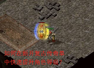 如何在新开复古传奇单中快速提升角色等级? 如何在新开复古传奇单中快速提升角色等级?