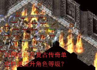 如何在新开复古传奇单中快速提升角色等级? 如何在新开复古传奇单中快速提升角色等级?