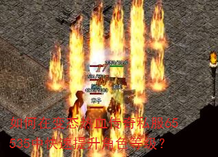 ����ڱ�̬��Ѫ����˽��65535�п���������ɫ�ȼ���