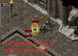 如何快速提升私服精灵技能等级与实战应用? 如何快速提升私服精灵技能等级与实战应用?