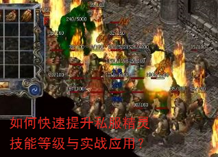 如何快速提升私服精灵技能等级与实战应用? 如何快速提升私服精灵技能等级与实战应用?