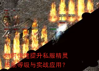 如何快速提升私服精灵技能等级与实战应用? 如何快速提升私服精灵技能等级与实战应用?