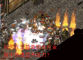 如何在公益单职业打金服中快速提升战力? 如何在公益单职业打金服中快速提升战力?