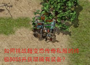 �����ս����̬����˽�����ռ�BOSS����ȡϡ��װ����