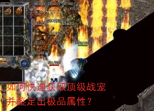 如何快速获取顶级战宠并鉴定出极品属性? 如何快速获取顶级战宠并鉴定出极品属性?