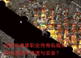 ���ι��ٵ�ְҵ����˽����ο�������������װ����