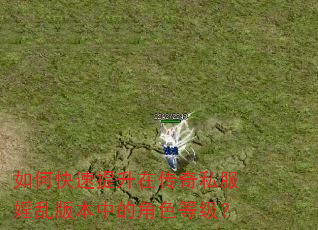 如何快速提升在传奇私服婬乱版本中的角色等级? 如何快速提升在传奇私服婬乱版本中的角色等级?