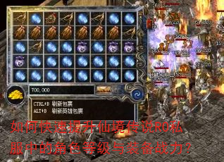 如何快速提升仙境传说RO私服中的角色等级与装备战力? 如何快速提升仙境传说RO私服中的角色等级与装备战力?