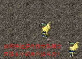 如何快速提升传奇私服变态版本中的角色战斗力? 如何快速提升传奇私服变态版本中的角色战斗力?