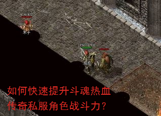��ο�������������Ѫ����˽����ɫս������