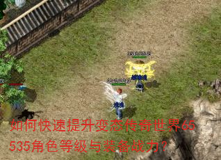 如何快速提升变态传奇世界65535角色等级与装备战力? 如何快速提升变态传奇世界65535角色等级与装备战力?