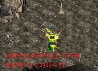 如何快速提升在新开变态传奇私服123中的战斗力? 如何快速提升在新开变态传奇私服123中的战斗力?