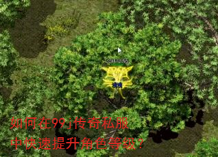 如何在99j传奇私服中快速提升角色等级? 如何在99j传奇私服中快速提升角色等级?