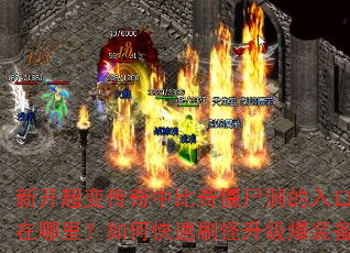 �¿����䴫���б��潩ʬ������������������ο���ˢ��������װ����