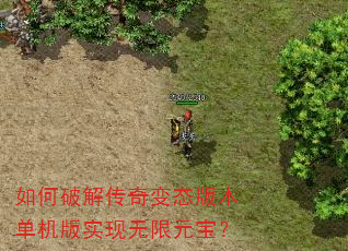 如何破解传奇变态版本单机版实现无限元宝? 如何破解传奇变态版本单机版实现无限元宝?