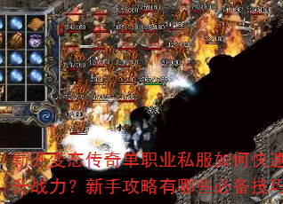 新开变态传奇单职业私服如何快速提升战力?新手攻略有哪些必备技巧? 新开变态传奇单职业私服如何快速提升战力?新手攻略有哪些必备技巧?