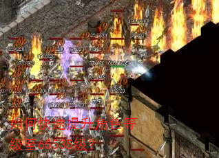 如何快速提升角色等级至65535级? 如何快速提升角色等级至65535级?