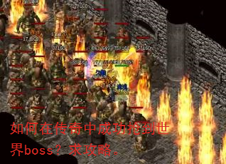 如何在传奇中成功抢到世界boss?求攻略。 如何在传奇中成功抢到世界boss?求攻略。