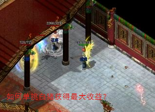 如何单挑白猪获得最大收益? 如何单挑白猪获得最大收益?