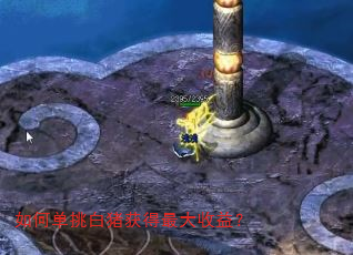如何单挑白猪获得最大收益? 如何单挑白猪获得最大收益?