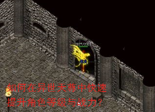 如何在异世天尊中快速提升角色等级与战力? 如何在异世天尊中快速提升角色等级与战力?